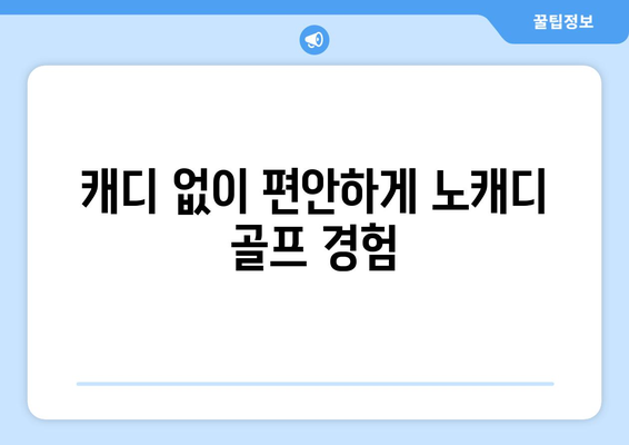 캐디 없이 편안하게 노캐디 골프 경험