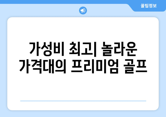 가성비 최고| 놀라운 가격대의 프리미엄 골프