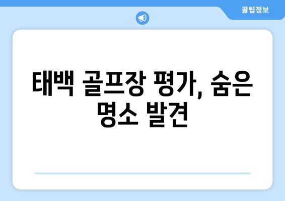 태백 골프장 평가, 숨은 명소 발견