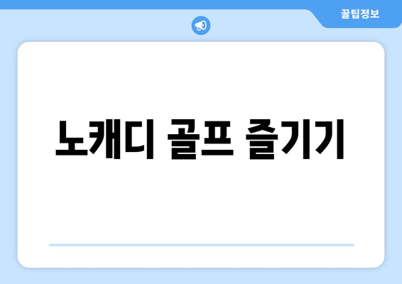 노캐디 골프 즐기기