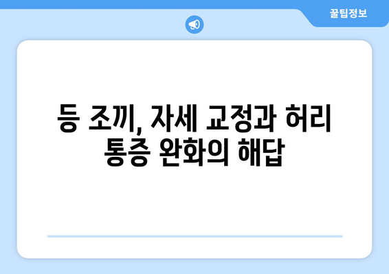 등 조끼| 자세 교정과 허리 통증 완화를 위한 완벽 가이드 | 자세 개선, 허리 통증, 등 조끼, 추천, 효과, 사용법