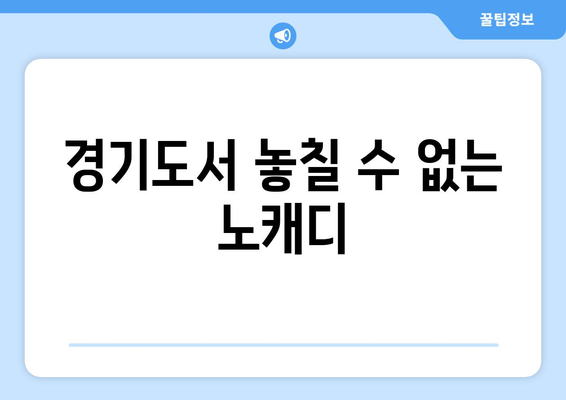 경기도서 놓칠 수 없는 노캐디