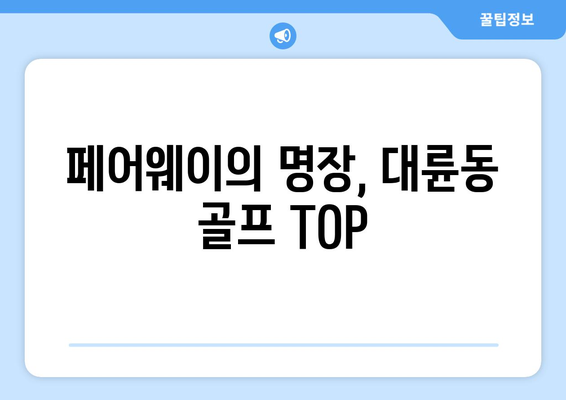 페어웨이의 명장, 대륜동 골프 TOP