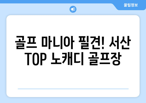 골프 마니아 필견! 서산 TOP 노캐디 골프장