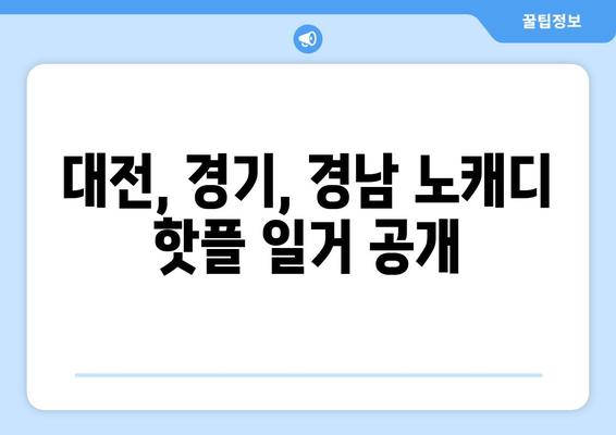 대전, 경기, 경남 노캐디 핫플 일거 공개