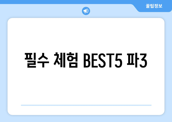 필수 체험 BEST5 파3