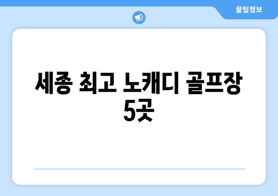 세종 최고 노캐디 골프장 5곳