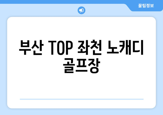 부산 TOP 좌천 노캐디 골프장