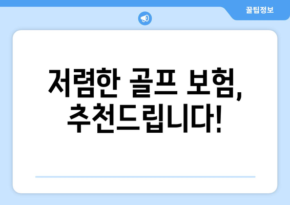 저렴한 골프 보험, 추천드립니다!