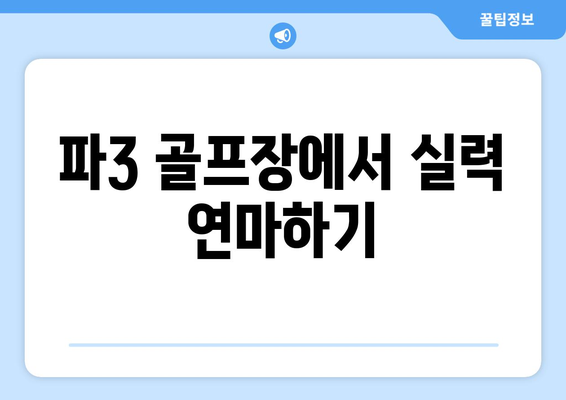 파3 골프장에서 실력 연마하기