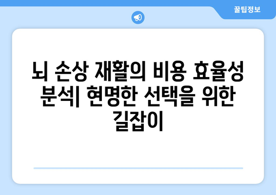 뇌 손상 재활 요법의 비용 효율성 분석| 효과적인 치료 전략 찾기 | 재활, 비용 분석, 효율성, 치료 전략