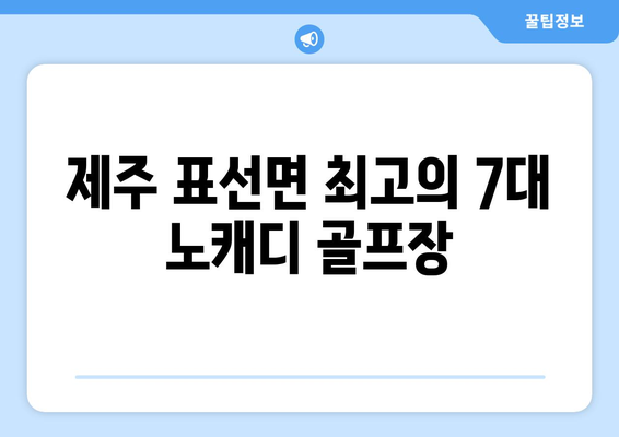 제주 표선면 최고의 7대 노캐디 골프장