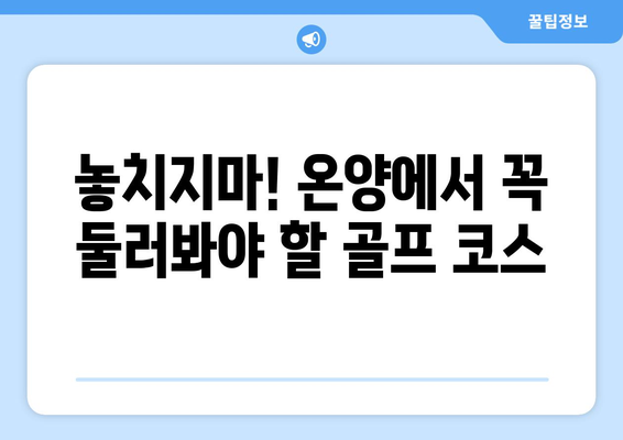 놓치지마! 온양에서 꼭 둘러봐야 할 골프 코스