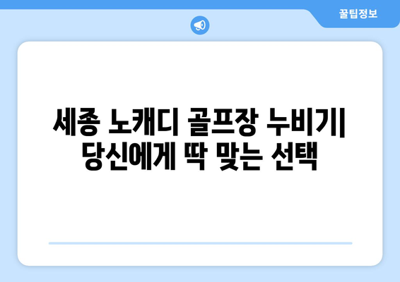 세종 노캐디 골프장 누비기| 당신에게 딱 맞는 선택