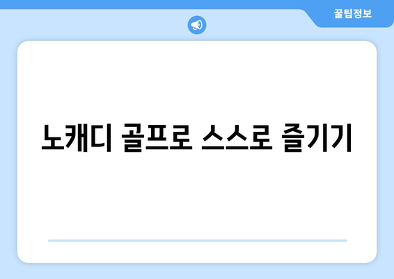 노캐디 골프로 스스로 즐기기