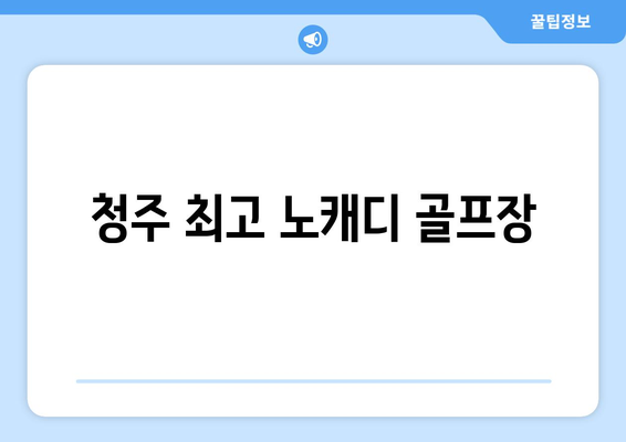 청주 최고 노캐디 골프장