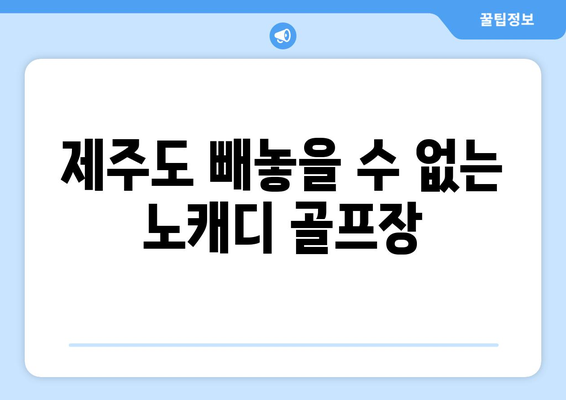 제주도 빼놓을 수 없는 노캐디 골프장