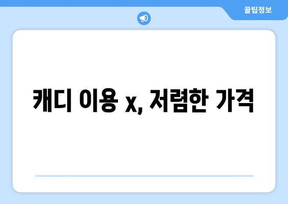 캐디 이용 x, 저렴한 가격