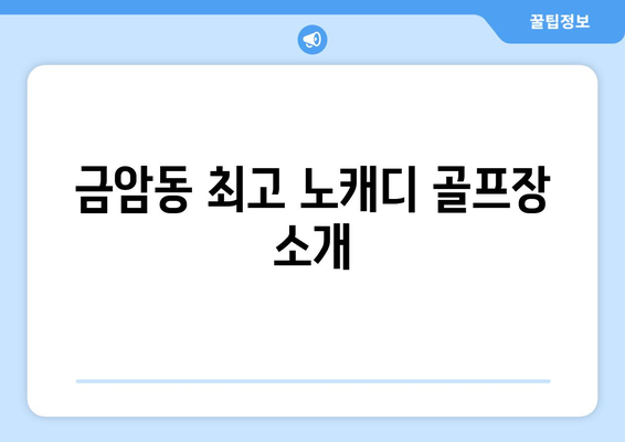 금암동 최고 노캐디 골프장 소개