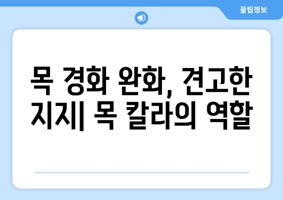 목 경화 완화와 견고한 지지, 목 경화 칼라 선택 가이드 | 목 통증, 목 칼라, 거북목, 일자목, 목 디스크