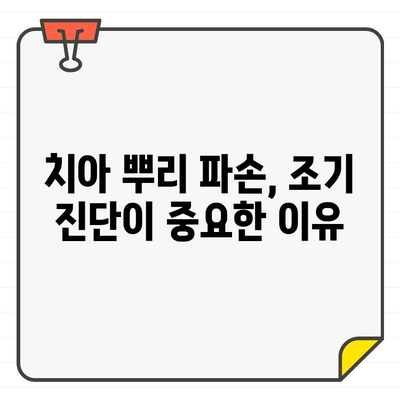 치아 뿌리 파손, CT 검사가 왜 중요할까요? | 치아 뿌리 파손 진단, CT 활용, 치과 치료