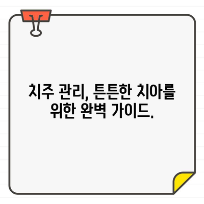 치주 CT와 구강 건강| 건강한 치주를 위한 완벽 가이드 | 치주 질환, 치주염, 구강 관리, 치과 검진