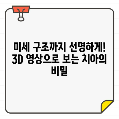 3DCT로 미세구조까지 정확히! 치과 진단의 새로운 지평 | 3D, 구강 스캔, 치과 치료, 디지털 진단