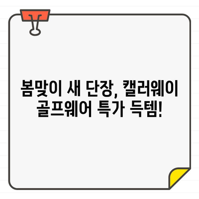 캘러웨이 골프웨어 40% 세일! 지금 바로 득템하세요 | 골프웨어, 할인, 세일, 캘러웨이