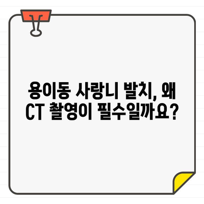 용이동 치과 사랑니 발치 전 CT 촬영, 왜 필요할까요? | 사랑니 발치, 안전한 발치, CT 촬영, 용이동 치과