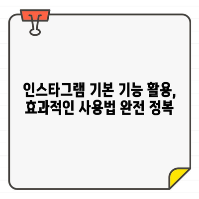 인스타그램 초보 탈출! 쉬운 사용법 완벽 가이드 |  인스타그램 시작, 계정 설정, 게시물 업로드, 팔로워 늘리기