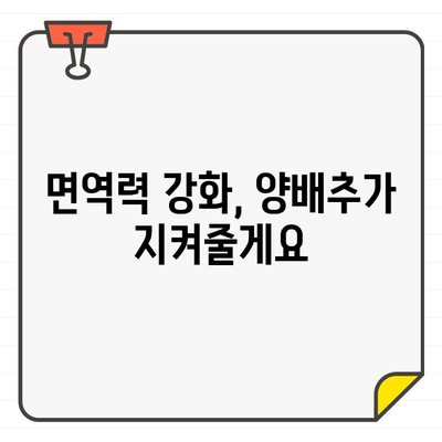 양배추의 놀라운 효능| 건강을 위한 3가지 비밀 | 면역력 강화, 항암 효과, 다이어트 효능