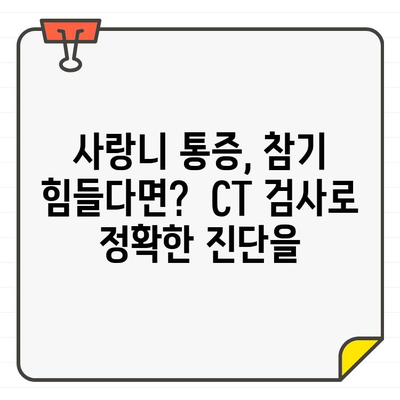 CT로 본 사랑니의 충격적 진실| 숨겨진 위험과 치료 가이드 | 사랑니, CT 검사, 발치, 통증, 치과