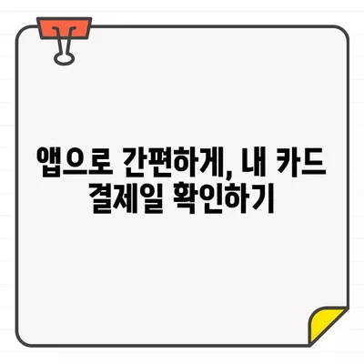 현대카드 결제일, 한눈에 확인하고 놓치지 마세요! | 결제일 확인, 카드 관리, 알림 설정