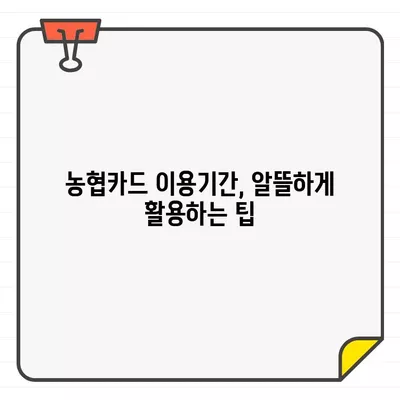 농협카드 결제일별 이용기간 확인 & 관리| 나에게 맞는 방법 찾기 | 농협카드, 결제일, 이용기간, 관리 팁