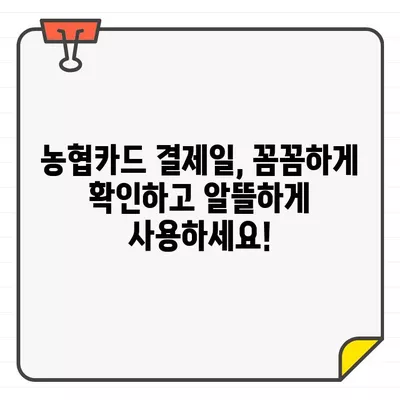 농협카드 결제일별 이용기간 완벽 정리 | 농협카드, 결제일, 이용기간, 카드 사용 팁