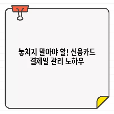 나에게 딱 맞는 신용카드 결제일 추천 받고, 똑똑하게 관리하기 | 신용카드, 결제일, 꿀팁, 관리