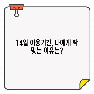 롯데카드 결제일별 이용기간 14일 설정, 나에게 유리한 이유는? | 롯데카드, 결제일, 이용기간, 혜택, 전략