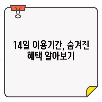 롯데카드 결제일별 이용기간 14일 설정, 나에게 유리한 이유는? | 롯데카드, 결제일, 이용기간, 혜택, 전략