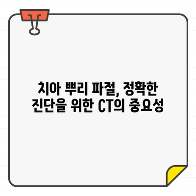 성내동 길동 치과, 치아 뿌리 파절 진단의 정확성을 높이는 CT 활용법 | 치아 뿌리 파절, CT 검사, 진단, 치과