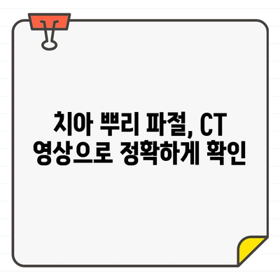 성내동 길동 치과, 치아 뿌리 파절 진단의 정확성을 높이는 CT 활용법 | 치아 뿌리 파절, CT 검사, 진단, 치과