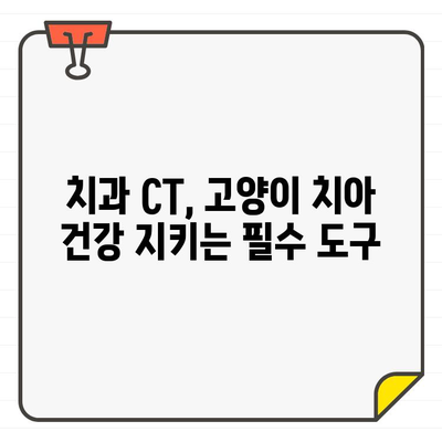 고양이 치아흡수성 병변 진단, 치과 CT 활용의 효과적인 역할 | 고양이 치과 질환, 진단, 치료, CT