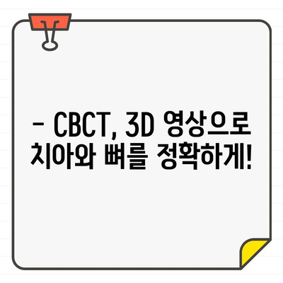 치과 엑스레이 유형 3| CBCT 촬영법 완벽 가이드 | 3D 영상, 장점, 활용, 주의사항