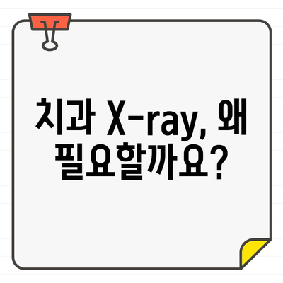 치과 X-ray 완벽 이해| CT 촬영의 역할과 활용 | 치과 진료, 영상 진단, 3D 이미지