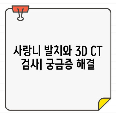 사랑니 발치, CT 촬영이 꼭 필요할까요? | 구리시 사랑니치과, 안전하고 정확한 발치, 3D CT 검사