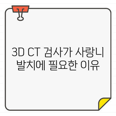 사랑니 발치, CT 촬영이 꼭 필요할까요? | 구리시 사랑니치과, 안전하고 정확한 발치, 3D CT 검사