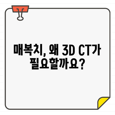 동작구 교정 치과에서 3D CT를 이용한 매복치 진단 | 매복치, 3D CT, 교정, 동작구