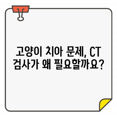 고양이 치아병 진단, CT가 어떻게 도움을 줄까요? | 고양이 치과 질환, 진단, 영상 검사, CT 활용