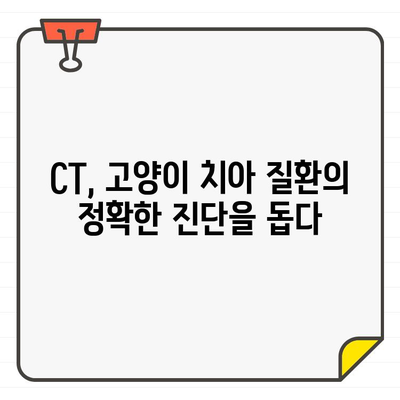 고양이 치아병 진단, CT가 어떻게 도움을 줄까요? | 고양이 치과 질환, 진단, 영상 검사, CT 활용