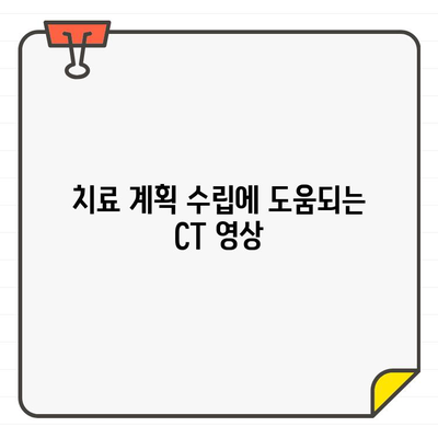 고양이 치아병 진단, CT가 어떻게 도움을 줄까요? | 고양이 치과 질환, 진단, 영상 검사, CT 활용