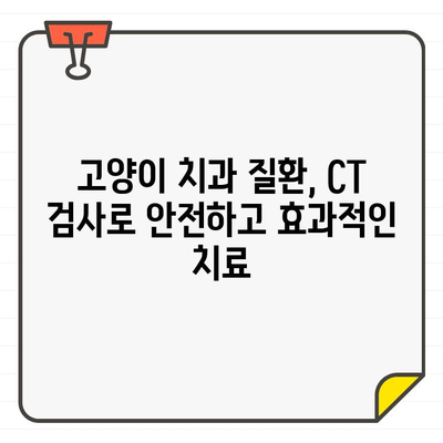 고양이 치아병 진단, CT가 어떻게 도움을 줄까요? | 고양이 치과 질환, 진단, 영상 검사, CT 활용